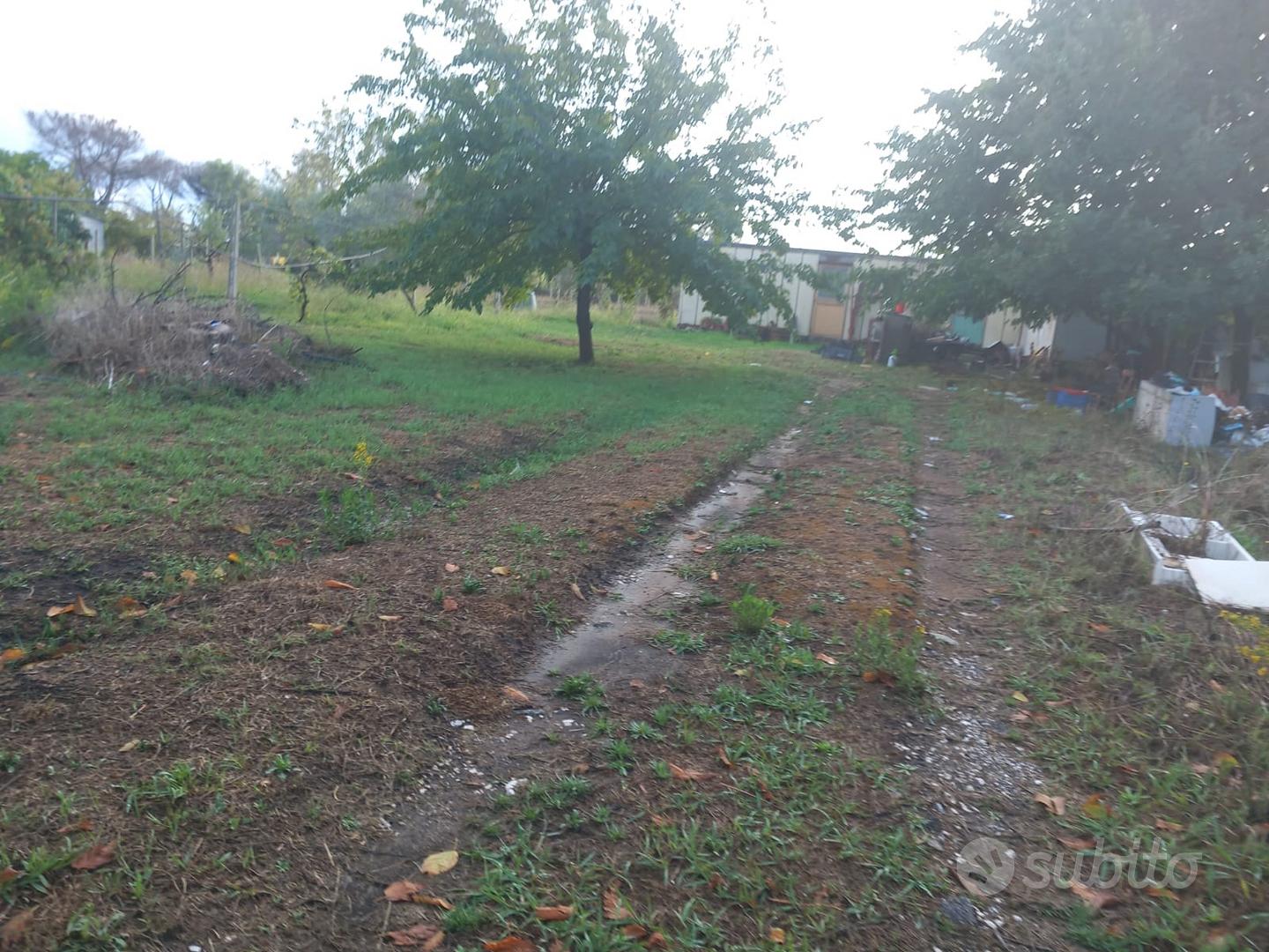 Terreno ad uso agricolo o edificabile - Vista 2