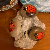Tre sassi dipinti a mano- le coccinelle