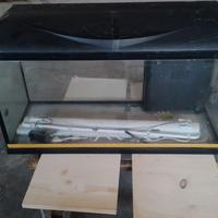 Acquario/Terrario in Vetro 