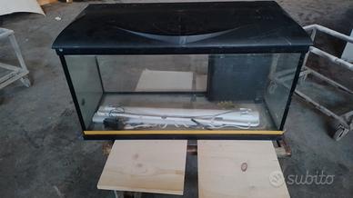 Acquario/Terrario in Vetro 