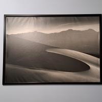 stampa su tela con cornice