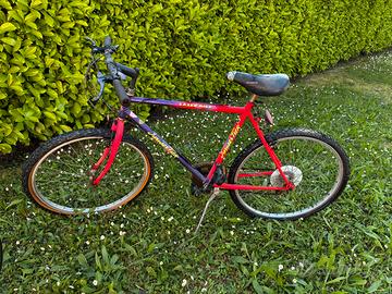 Mountainbike vintage