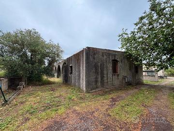 Rudere località Tallaroga