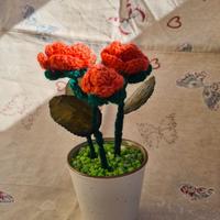 Rose realizzate ad uncinetto in lana