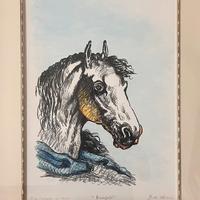 Giorgio de Chirico - “Bucefalo”, 1969