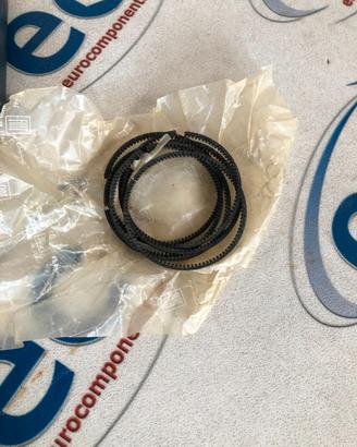 71752645 Serie fasce elastiche Fiat 2300 6 cilindr