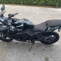 Kawasaki Ninja 250