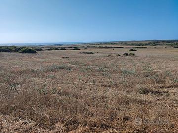 Terreno agricolo