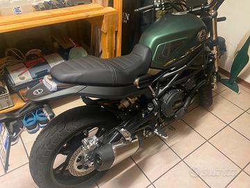 Benelli Leoncino 800 - 2022