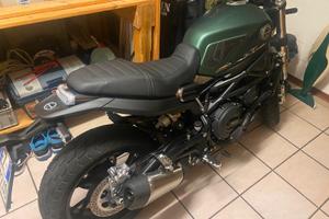 Benelli Leoncino 800 - 2022