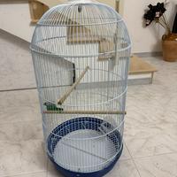 Voliera