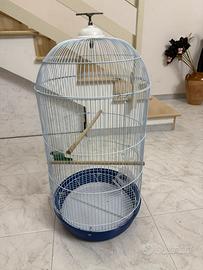 Voliera