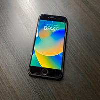 iPhone 8 usato 256GB