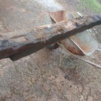 travo antico di rovere