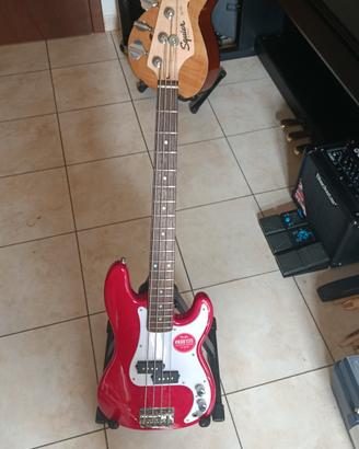 basso squier