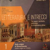 Letteratura e intrecci 