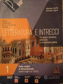 Letteratura e intrecci 