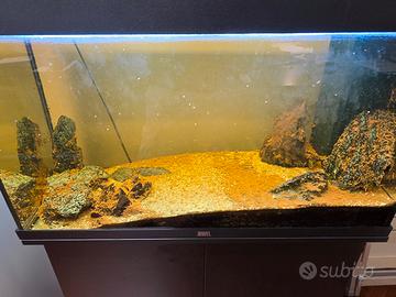 acquario juwel Rio 180
