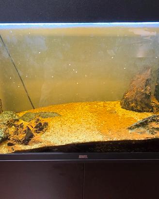 acquario juwel Rio 180