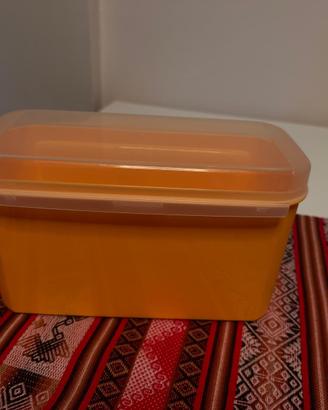 Contenitore Dispensa Tupperware