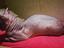 Immagine 2