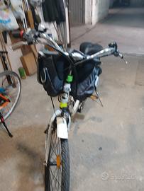 bici pedalata assistita 