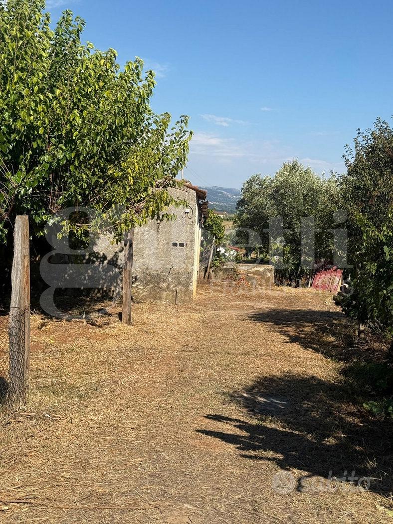Terreno Agricolo Lamezia Terme - Vista 2