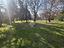 Immagine 23