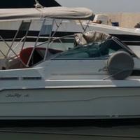 Barca day Cruiser sea Ray mt7. 50 con EFB