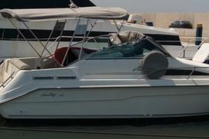 Barca day Cruiser sea Ray mt7. 50 con EFB