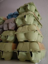 Contenitori uova in cartone