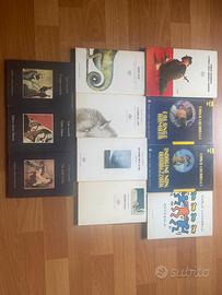 Carlo Lucarelli stock di 11 libri