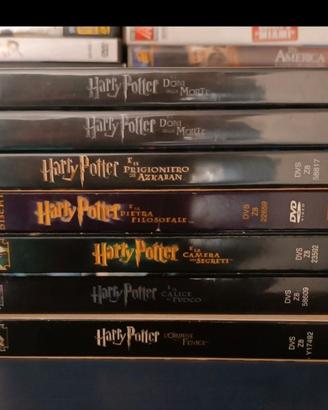 DVD collezione da 247 titoli
