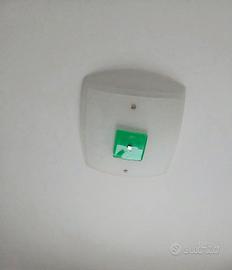 Plafoniera Moderna Vetro Satinato e Verde - 2 Luci
