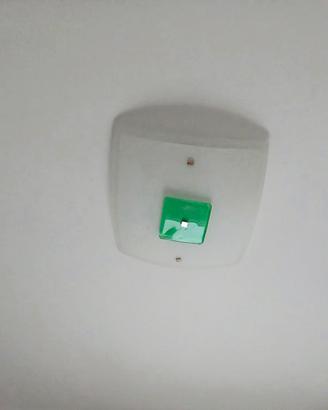 Plafoniera Moderna Vetro Satinato e Verde - 2 Luci
