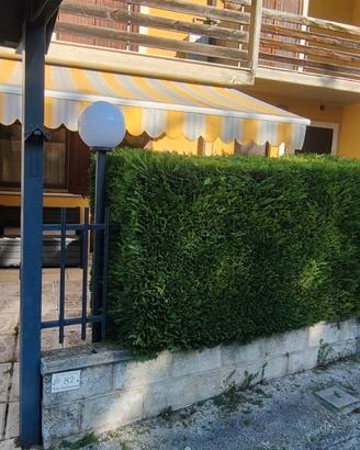 Splendida villetta con giardino