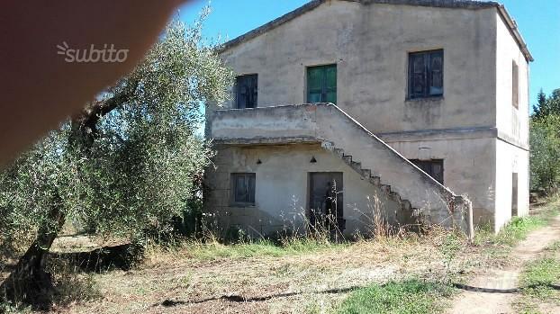 Caratteristico terreno con casa, a Timmari - Vista 3