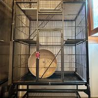 Gabbia voliera 175x75x45cm + accessori roditori