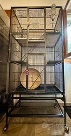 Gabbia voliera 175x75x45cm + accessori roditori