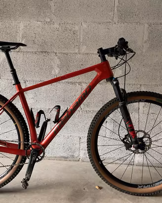 BICICLETTA 29