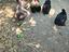 Immagine 3