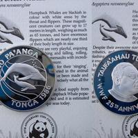 SALVIAMO LE BALENE TONGA ARGENTO 28,28 T925 GARANZ