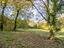 Immagine 14