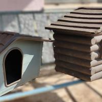 Cucce per cani da esterno