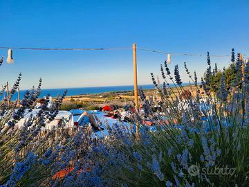 Oasi di pace a Montebello
