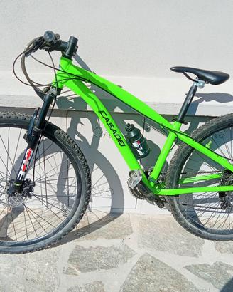 bici casadei