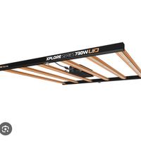 Lampada Led per Grow box - Dimlux xplore 730w