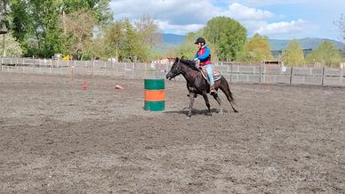 Super pony