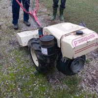 Motocoltivatore Pasquali 12 cv Diesel 