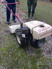 Motocoltivatore Pasquali 12 cv Diesel 
